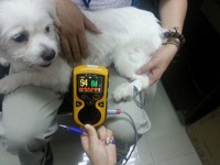 copertina di Pulsossimetro OXY 100 per VETERINARIA