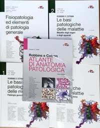 copertina di Bundle Robbins e Cotran - Le basi patologiche delle malattie  1/2 + test ( Patologia ...